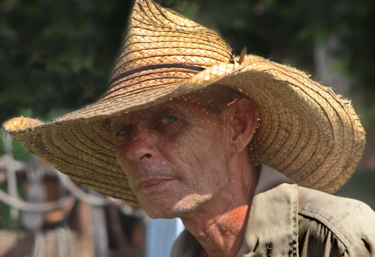 Campesino fabricant de charbon de bois