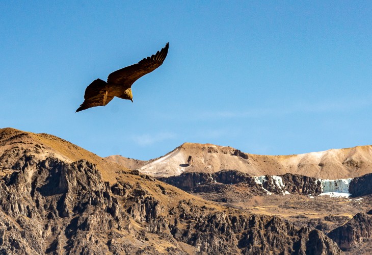 canyon du colca