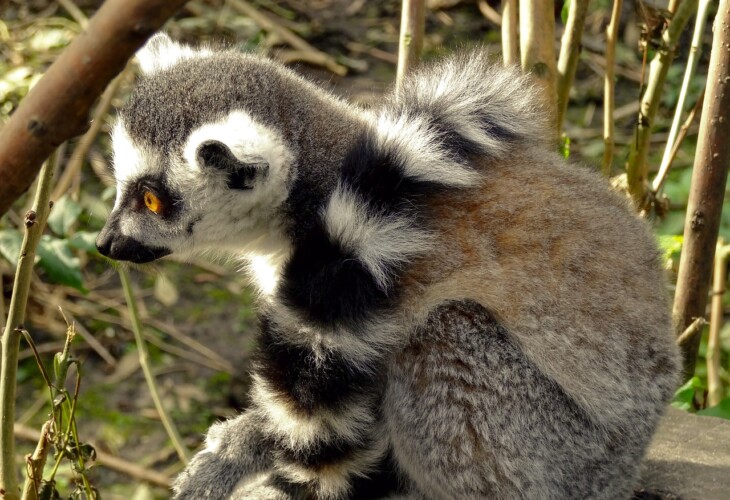 Colonie de vacances à Madagascar