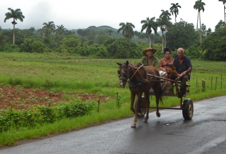 Campesinos de retour des champs