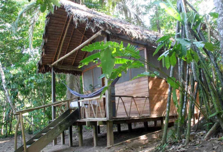 Ecologes amazonie bolivienne