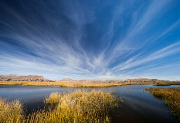 Lac Titicaca totora