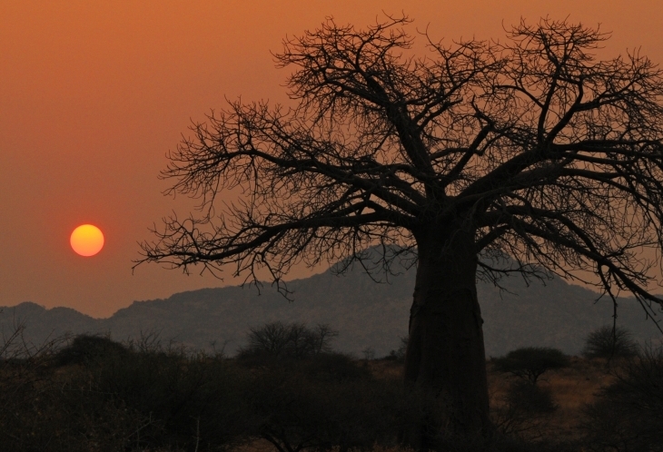 Coucher de soleil