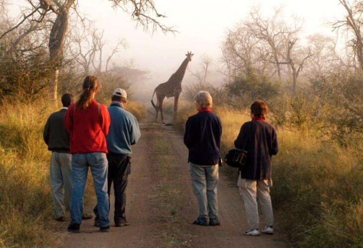 Rencontre au petit matin