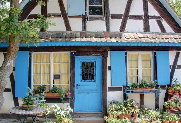 Maison typiquement alsacienne