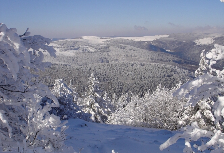 Les Vosges sous la neige
