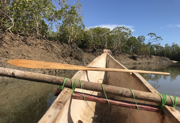 Mangily Pirogue Mangroves