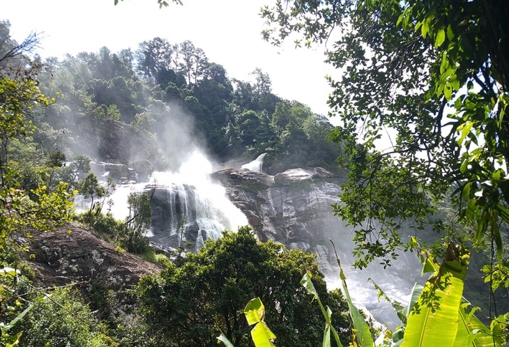 Parc National Ranomafana