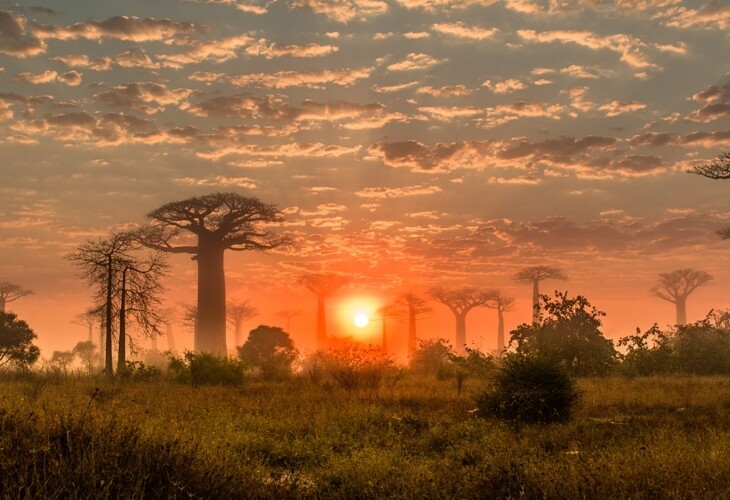 Madagascar - coucher de soleil