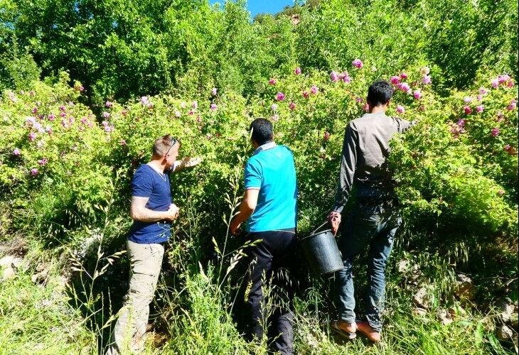 Maroc - R'bat, dans les champs