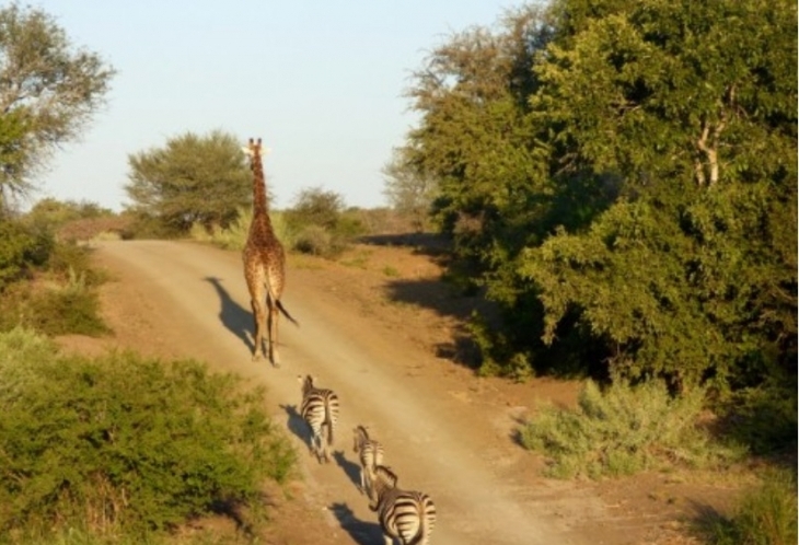 Voyage en immersion en Afrique du Sud