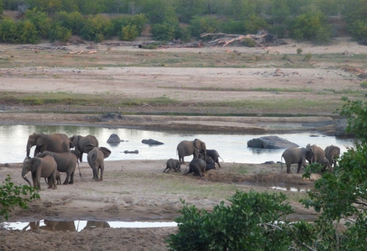 Le Parc Kruger