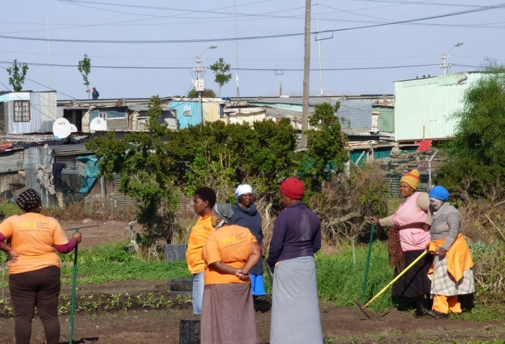 Les jardins potagers du township du Cap