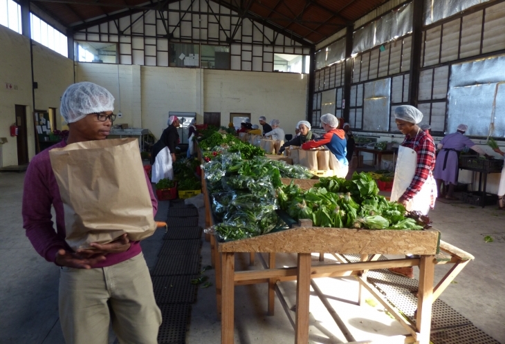 Les jardins potagers du township