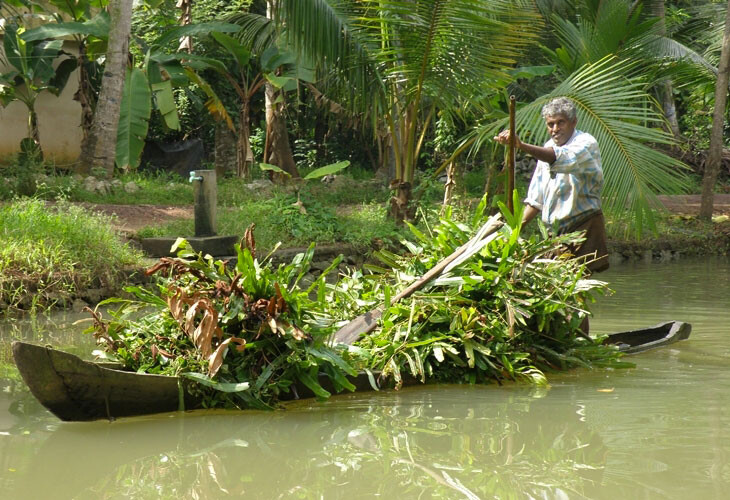 Kerala : les backwaters