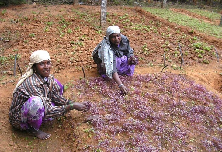 Rencontres avec les agriculteurs