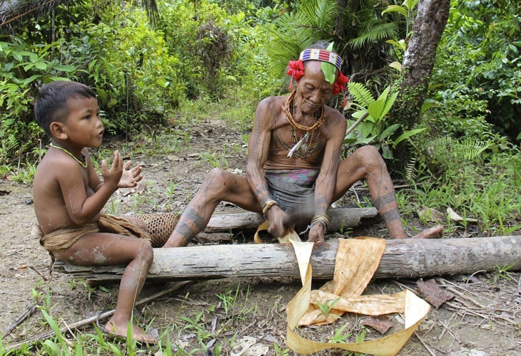 Les hommes-fleurs, chasseurs-cueilleurs de Siberut