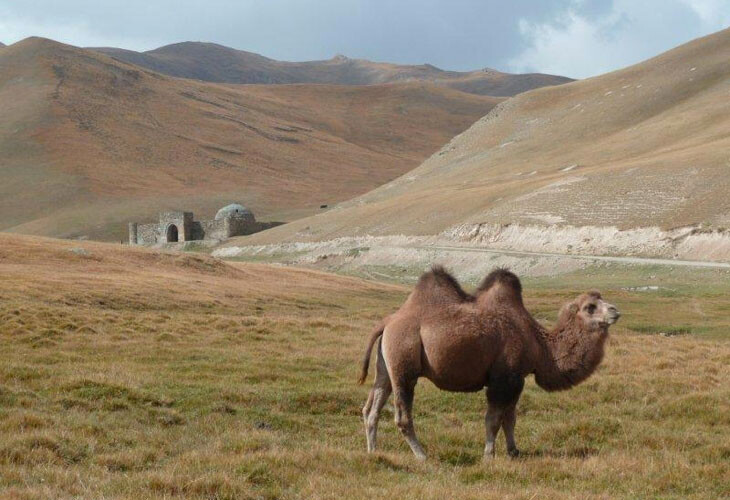 Tash Rabat : vestige de la Route de la Soie