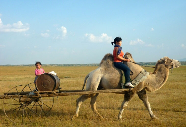 Entre steppes et Gobi