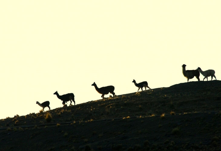 Sur la route de la Paz...