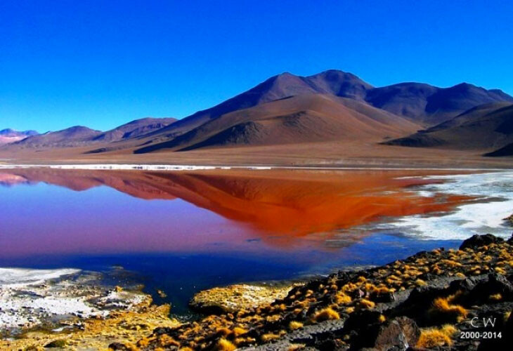 Laguna colorada, Bolivie