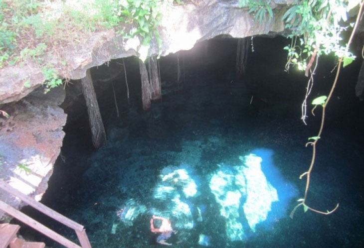 Exploration des cenotes et baignades