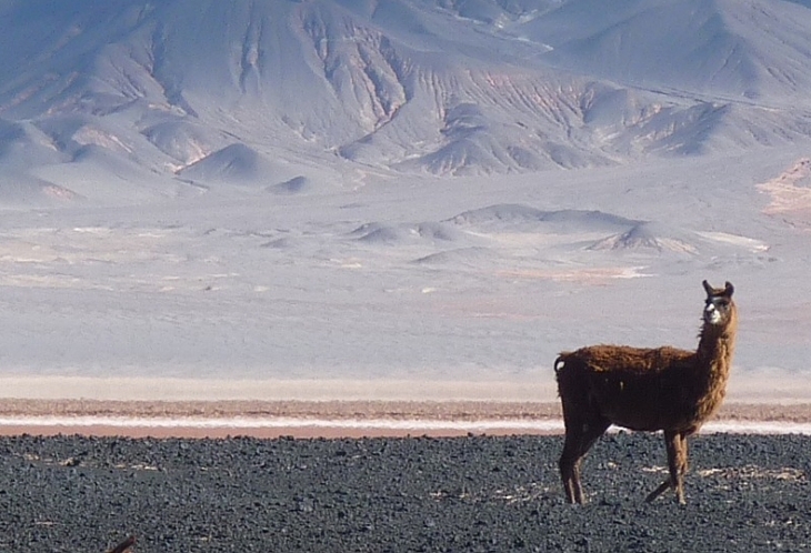 Un paysage typique des Andes