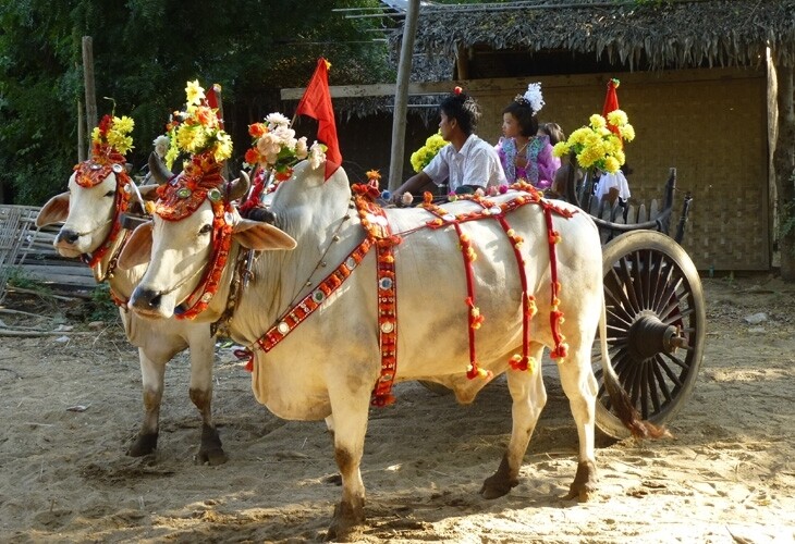 Bagan