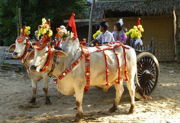 Bagan