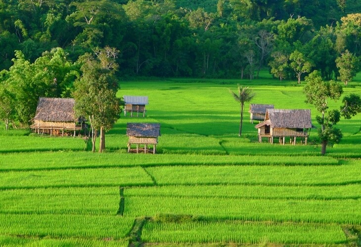 Muang La