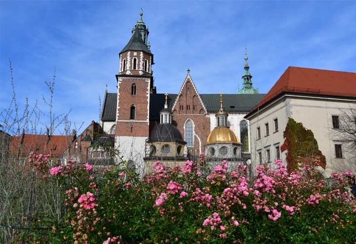 Pologne Cracovie