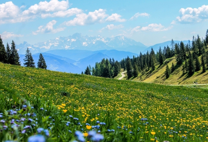 Les paysages solidaire des Hautes-Alpes