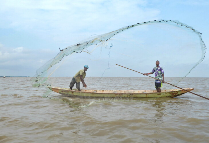 Pêche à l'épervier