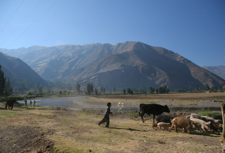 Vallée de l'Urubamba