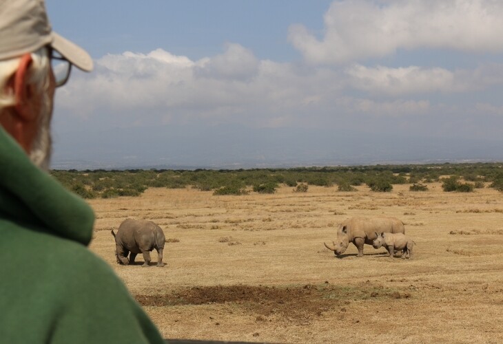 Les rhinocéros menacés au Kenya