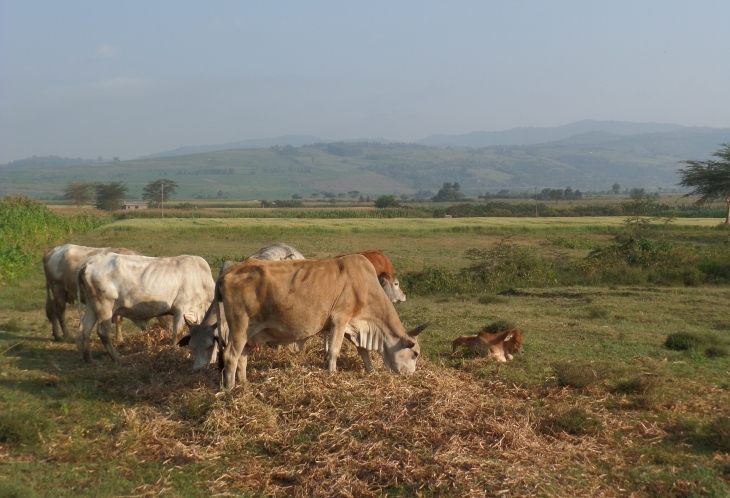 Immersion dans une ferme écologique