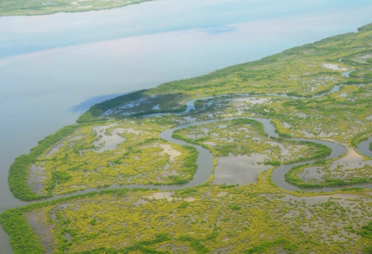 Vue aérienne Casamance, Sénégal