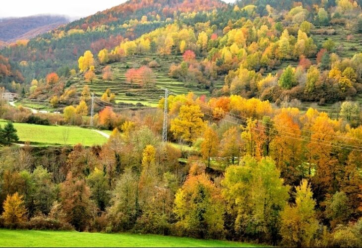 Dans les Pyrénées catalanes