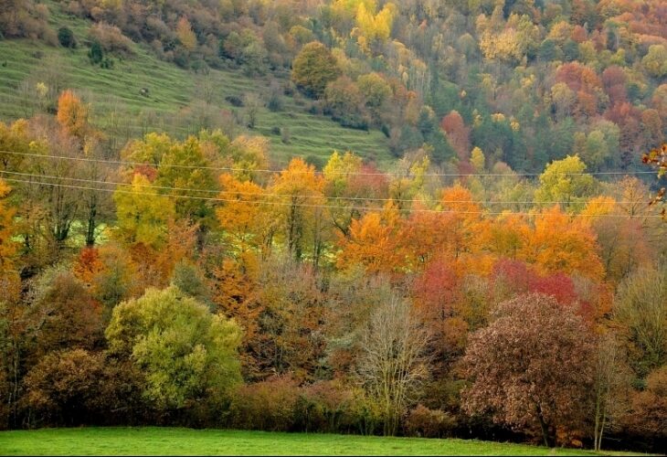 Dans les Pyrénées catalanes