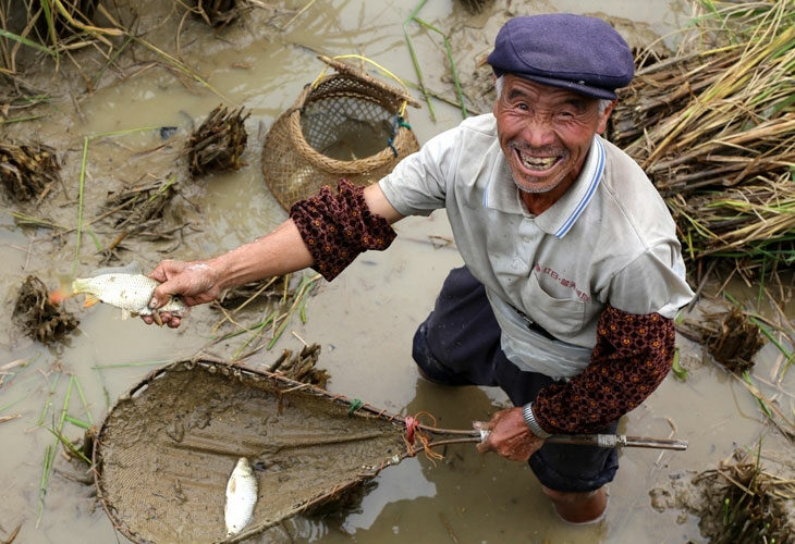 Pêche et riziculture dans la même eau !