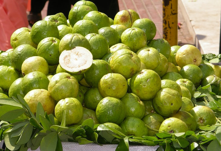 Fruits tropicaux jusqu'à plus soif