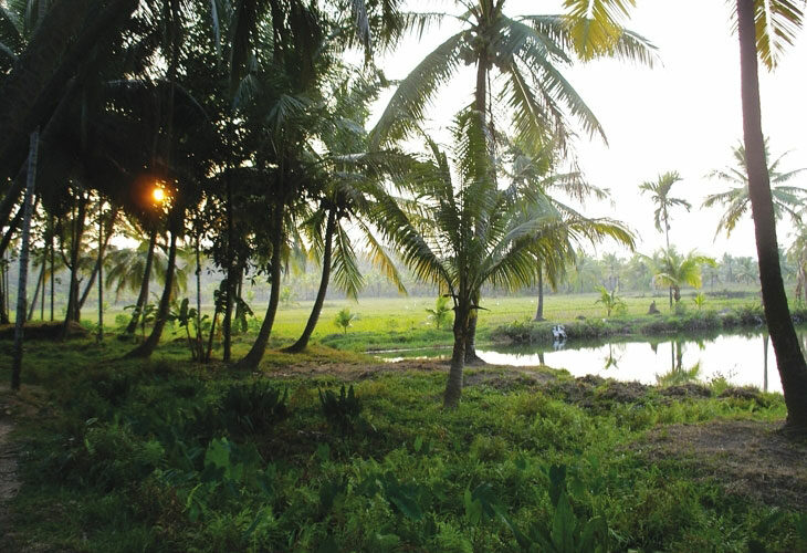Kerala : notre hébergempent au bord des backwaters