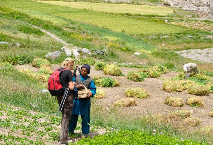 Trois mois pour cultiver les réserves de l'annnée