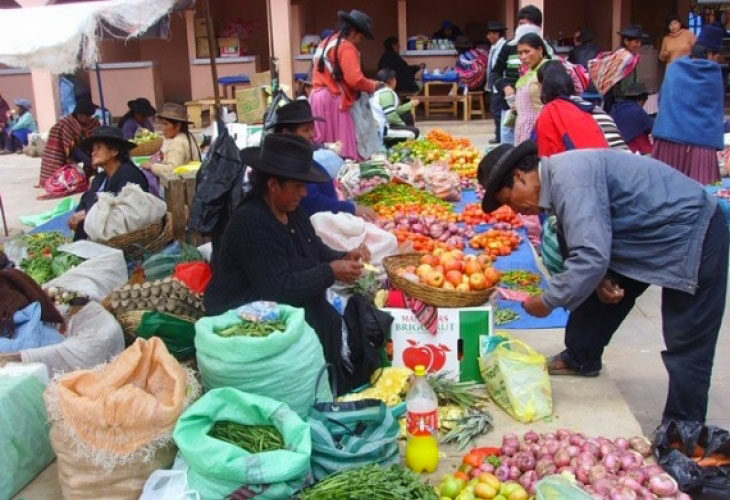 Visite des marchés locaux typiques