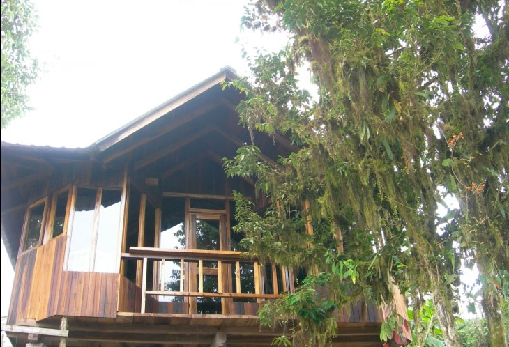 L'ecolodge de Santa Lucia perché dans les arbres