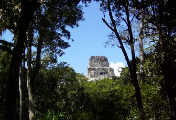 Les mystérieux sites mayas en plein cœur de la forêt