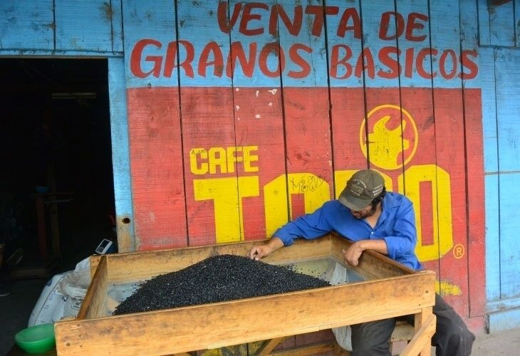 Visite de finca de café nica