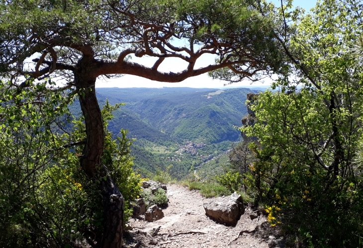 Gorges de la Jonte