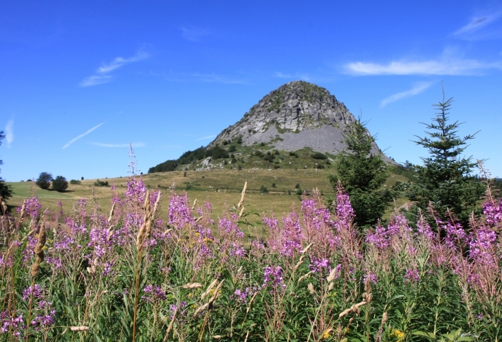 Mont Gerbier de Jonc