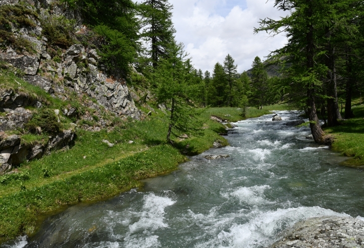 Torrent Clarée